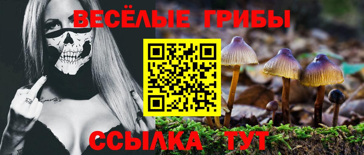 Советск  Галлюциногенные грибы GOLDEN TEACHER  Вход с VPN  Псилоцибиновые грибы Magic Shrooms 