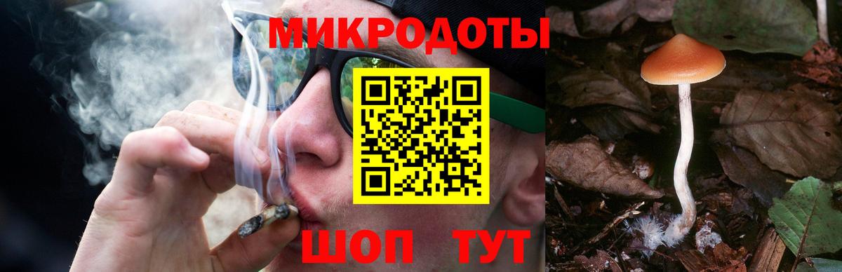 Галлюциногенные грибы Magic Shrooms Советск