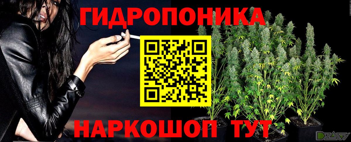 Канабис семена  Вход с VPN  Советск  Марихуана White Widow  Конопля ГИДРОПОН 